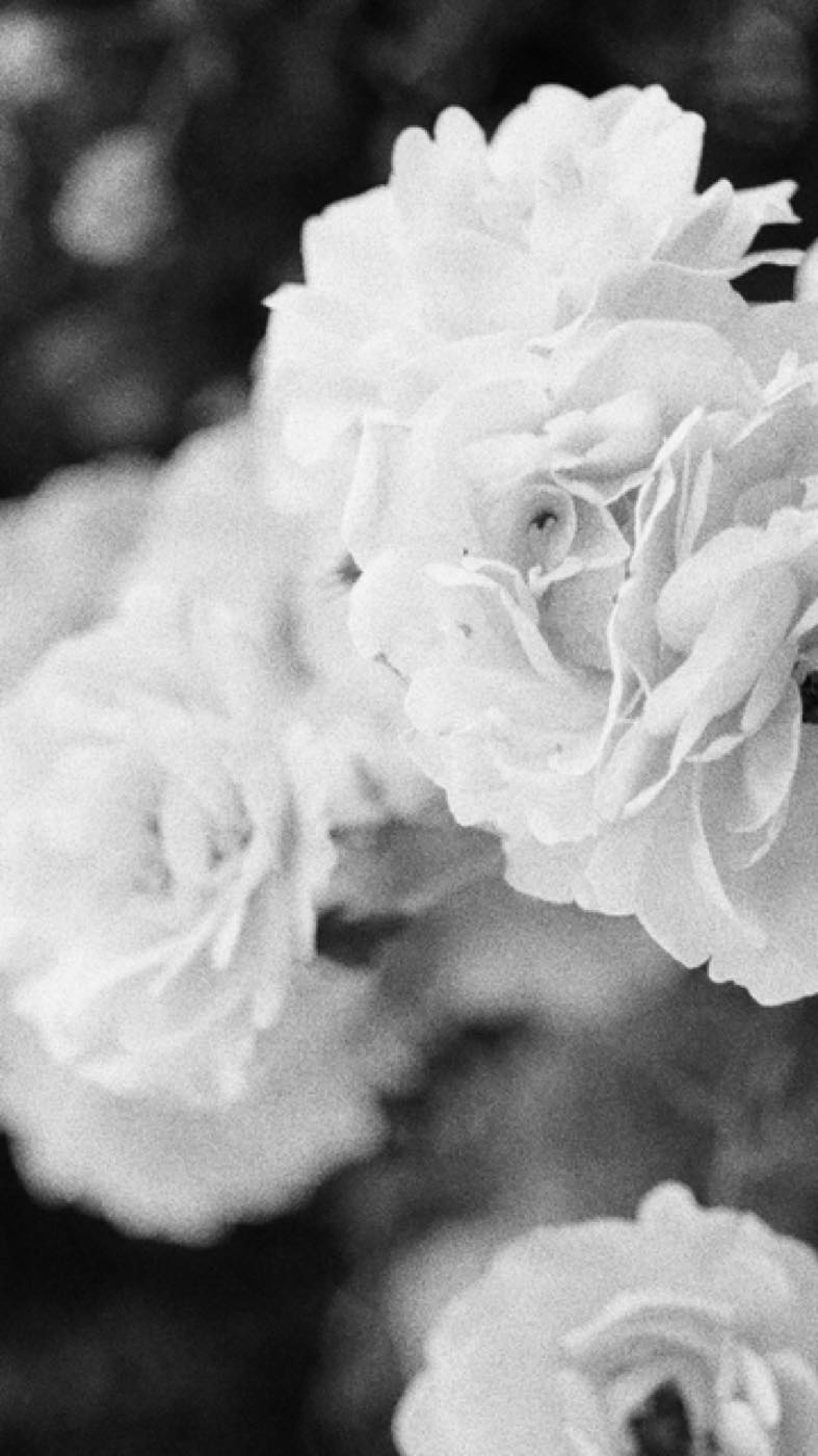 Adorned Beauty Studio, Columbus Ohio